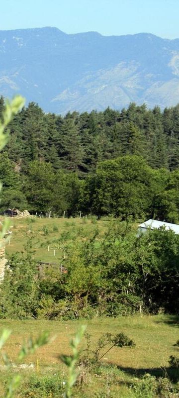 Hypnose, alimentation, soins, conférences : la journée nature et bien-être revient ce dimanche à Lucéram
