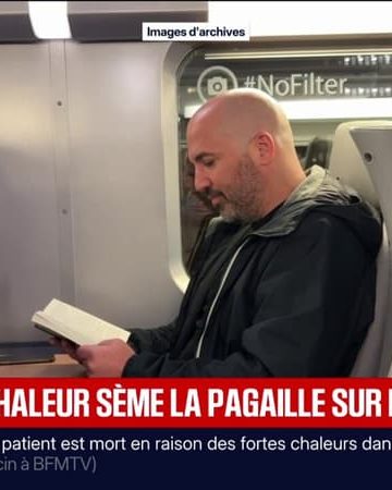 Nouvelle-Aquitaine: le trafic des TER suspendu entre 10h et 18h